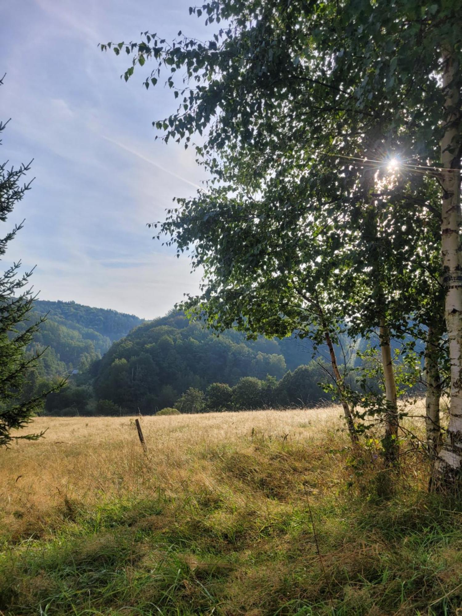 Forest Camp Dom W Gorach Sowich Michalkowa Eksteriør bilde